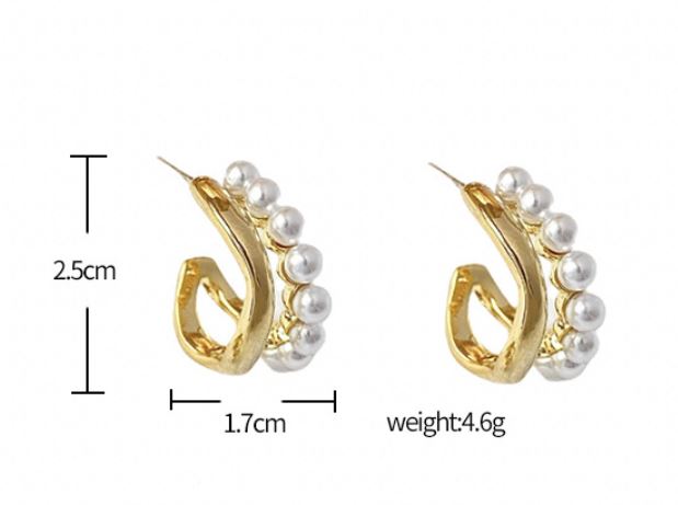 Pendientes Camila - Carlos Hernández Madrid